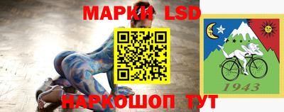 apvp Камышлов