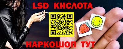 apvp Камышлов