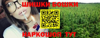 apvp Камышлов