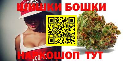 apvp Камышлов