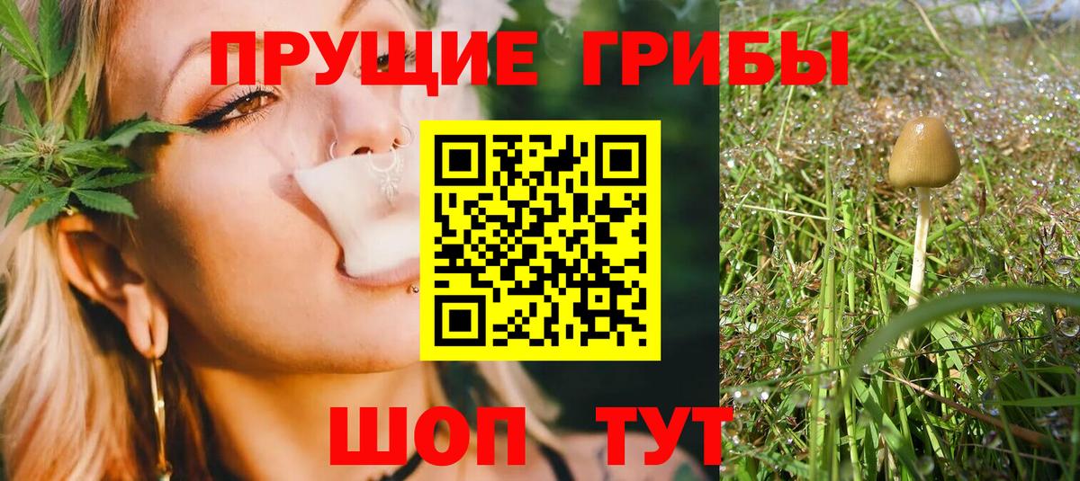 Галлюциногенные грибы MAGIC MUSHROOMS Лесной