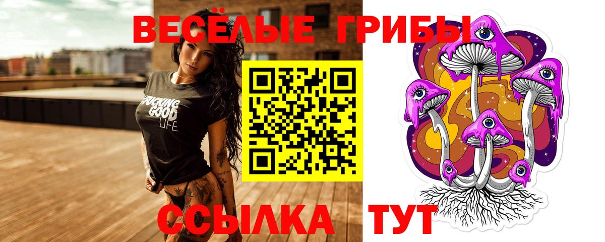Галлюциногенные грибы Psilocybe  Псилоцибиновые грибы прущие грибы  Лесной  Вход с VPN 